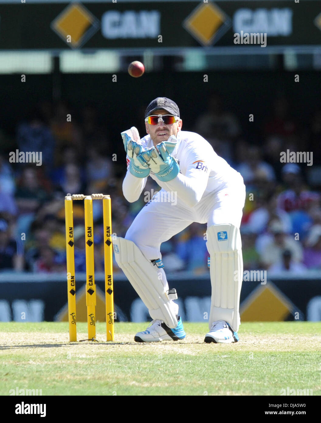 Gabba Boden, Brisbane, Australien. 23. November 2013. MATT PRIOR. Tag3 der ersten Asche Test 2013/14 Australien gegen England. Bildnachweis: Aktion Plus Sport/Alamy Live-Nachrichten Stockfoto