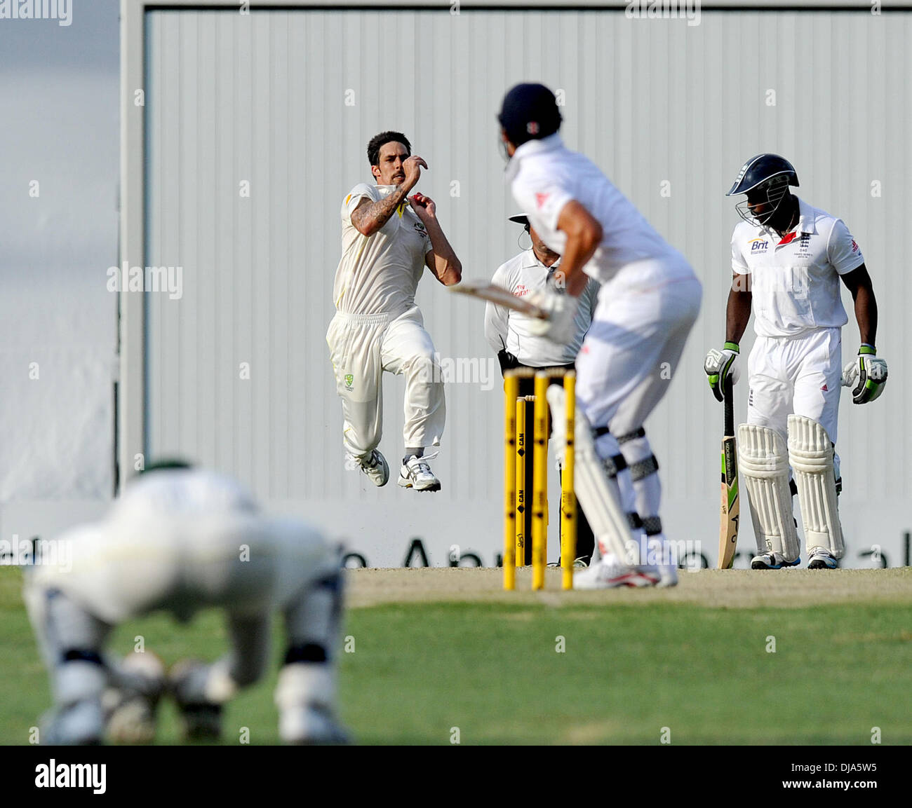 Gabba Boden, Brisbane, Australien. 23. November 2013. MITCHELL JOHNSON. Tag3 der ersten Asche Test 2013/14 Australien gegen England. Bildnachweis: Aktion Plus Sport/Alamy Live-Nachrichten Stockfoto