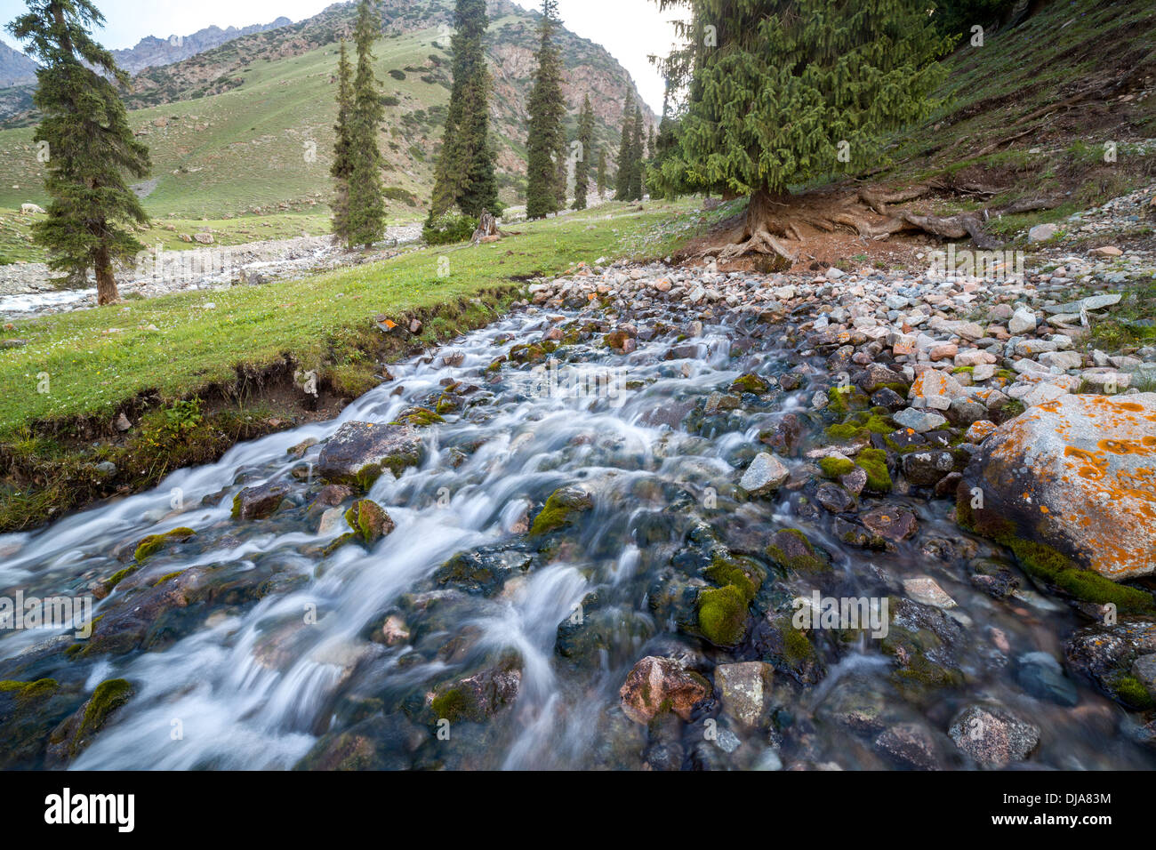 Erstaunliche Frühjahr im Tien-Shan-Gebirge Stockfoto