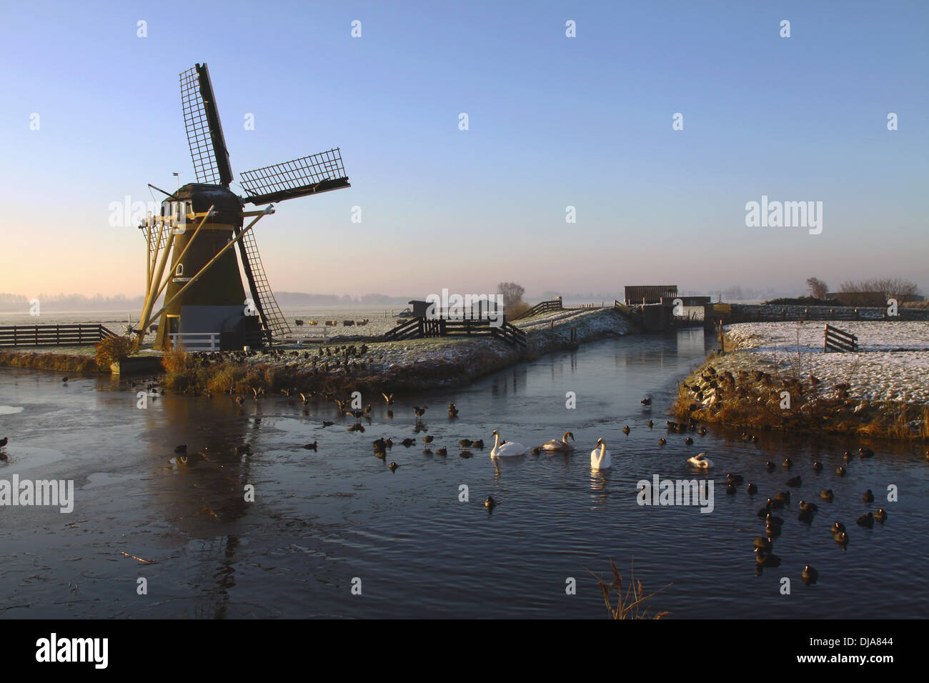 Entwässerung Mühle '' Hope Federn ewigen '' im typisch holländischen flache Landschaft im Winter, Voorhout, Südholland, Niederlande Stockfoto