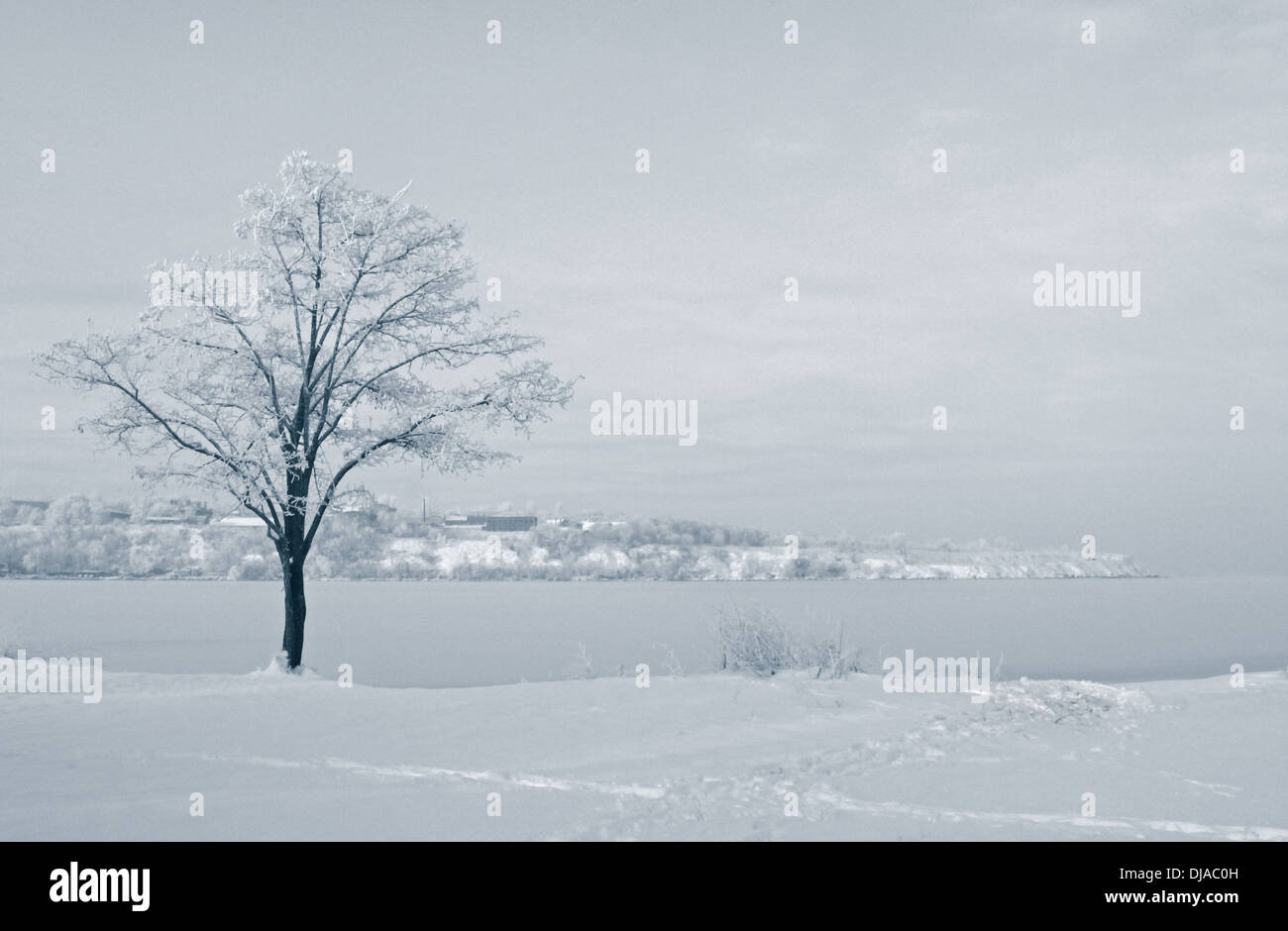 winterliche Landschaft mit Baum im riverside Stockfoto