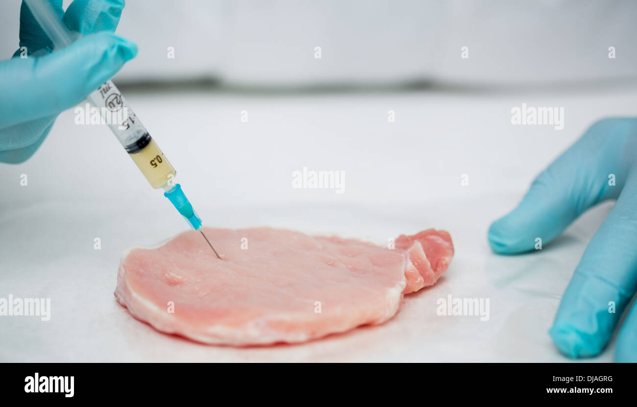 Nahaufnahme von Forscher behandschuhten Hände Injektion von Fleisch Stockfoto