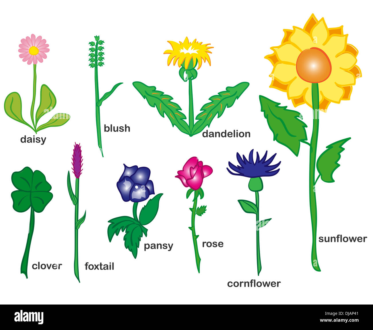 Rosa und blaue Blüten Stockfoto