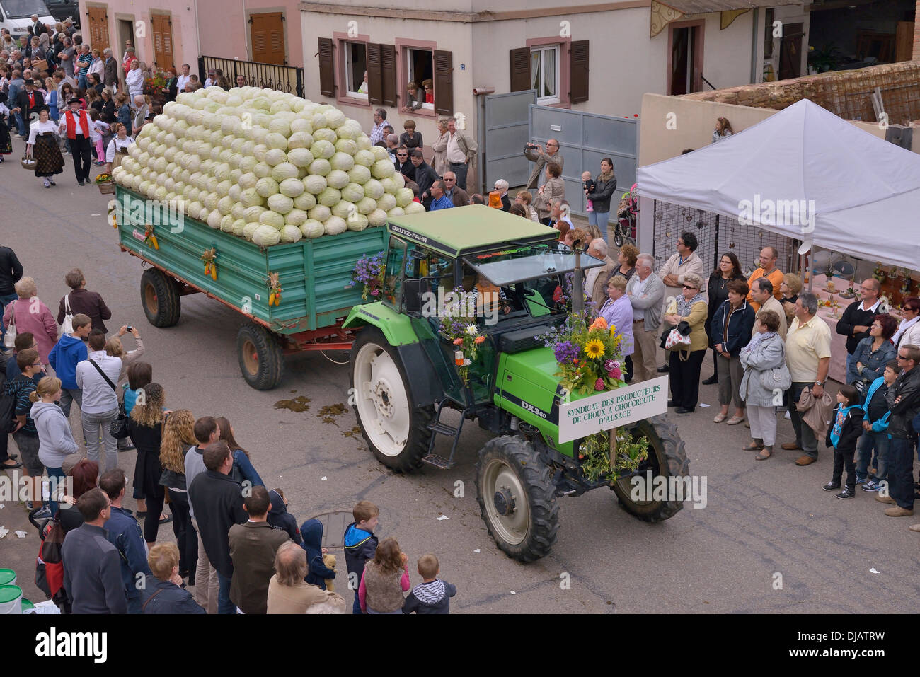 Traktor beladen mit Kohl während der "Fête De La Choucroute" Sauerkraut Festival, Krautergersheim, Département Bas-Rhin Stockfoto