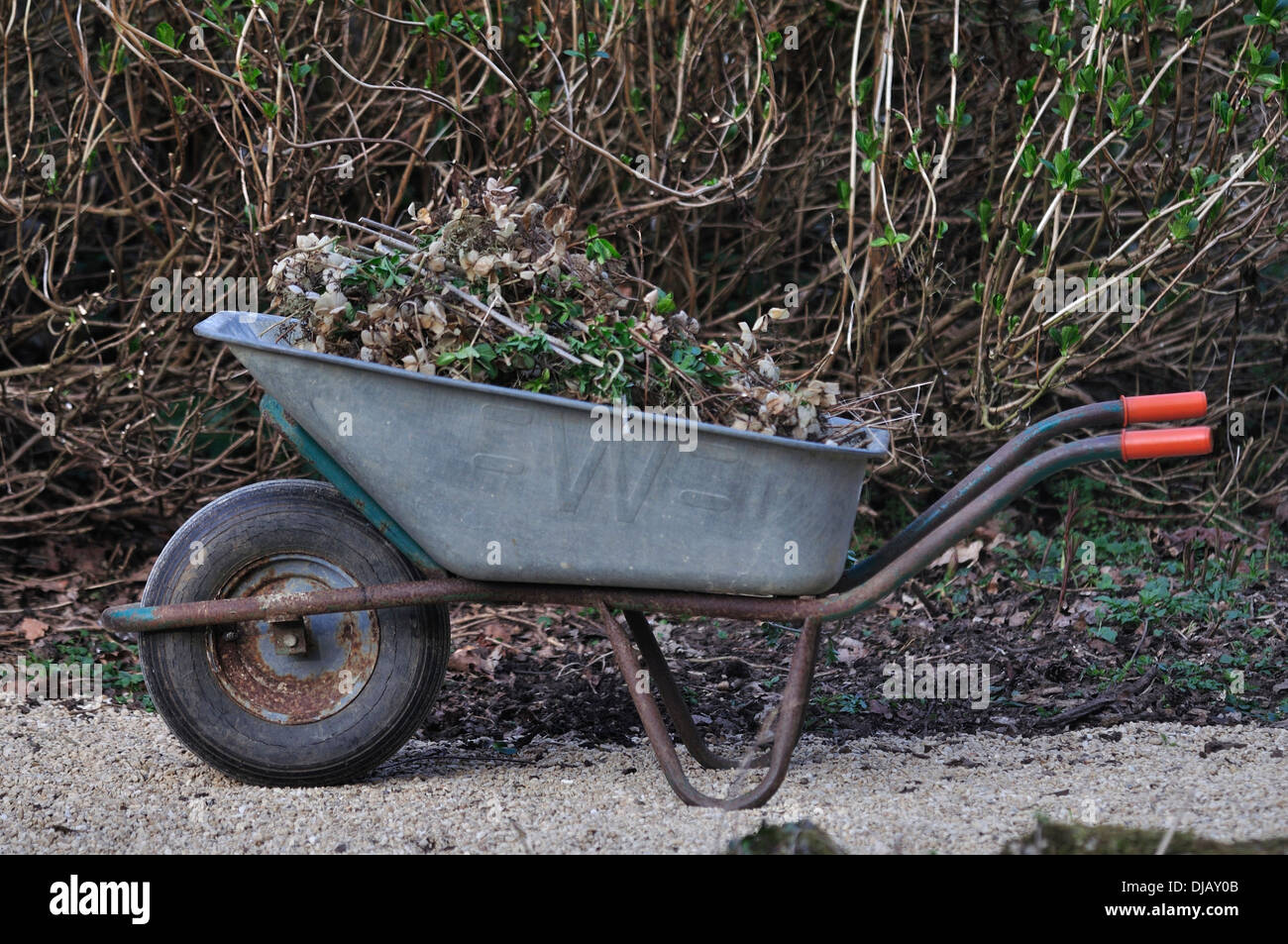 Eine Schubkarre voller Garten Müll UK Stockfoto