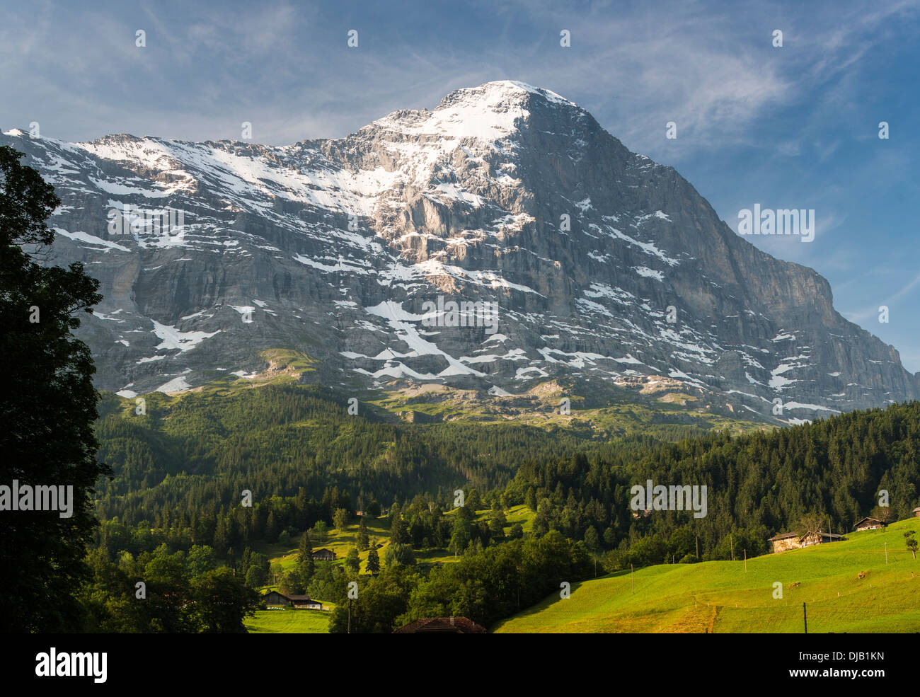 Eiger-Nordwand in der früh, Schweizer Alpen Jungfrau-Aletsch-UNESCO-Welterbe, Grindelwald, Kanton Bern, Schweiz Stockfoto
