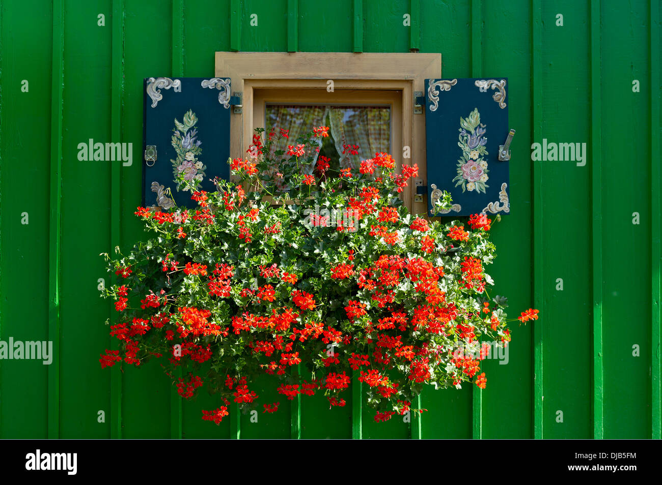 Blumen Auf Fensterläden Gemalt Stockfotos und -bilder Kaufen - Alamy