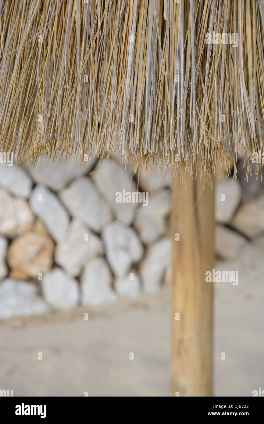 Stroh Sonnenschirm Detail am Sandstrand mit trockene Wand im Hintergrund. Stockfoto