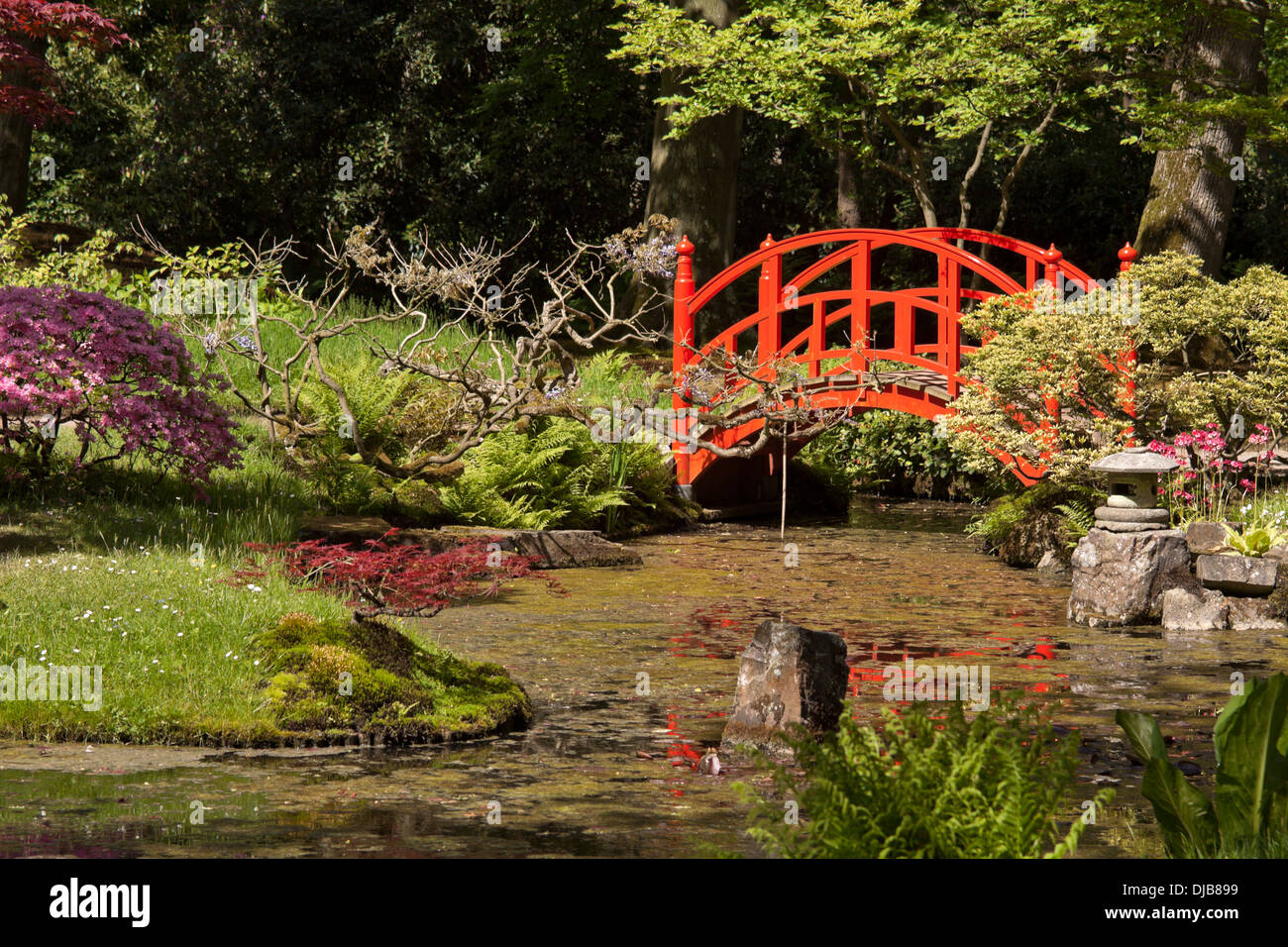 Rote Brücke im japanischen Garten im Park Clingendael, Den Haag, den Haag, Zuid-Holland, Niederlande Stockfoto