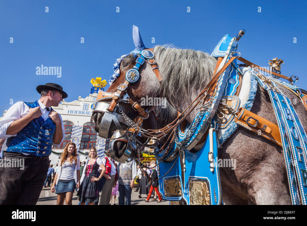 Deutschland, Bayern, München, Oktoberfest, Pferde in Festival Livree gekleidet Stockfoto