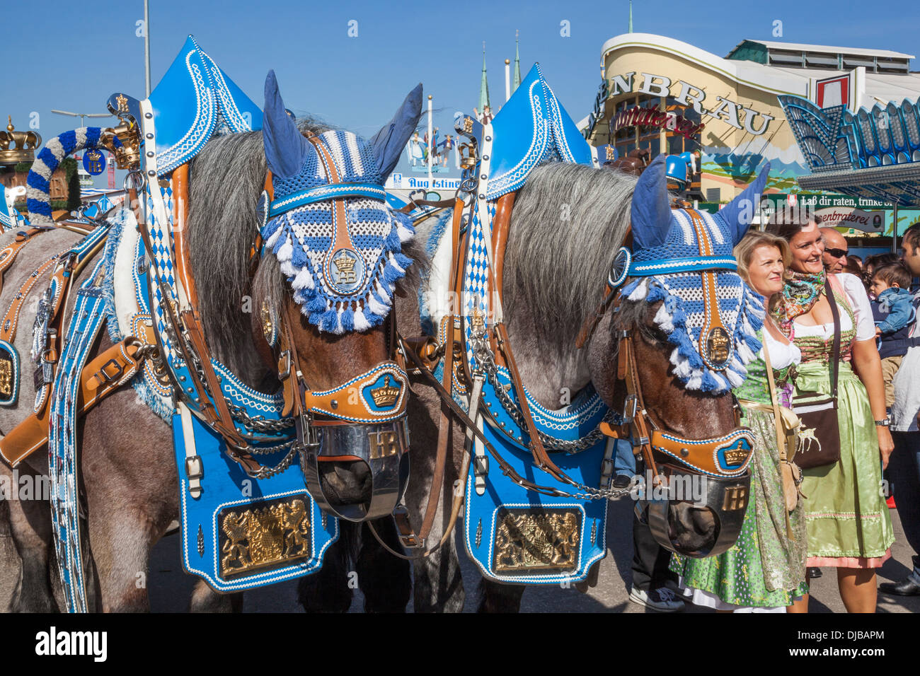 Deutschland, Bayern, München, Oktoberfest, Pferde in Festival Livree gekleidet Stockfoto