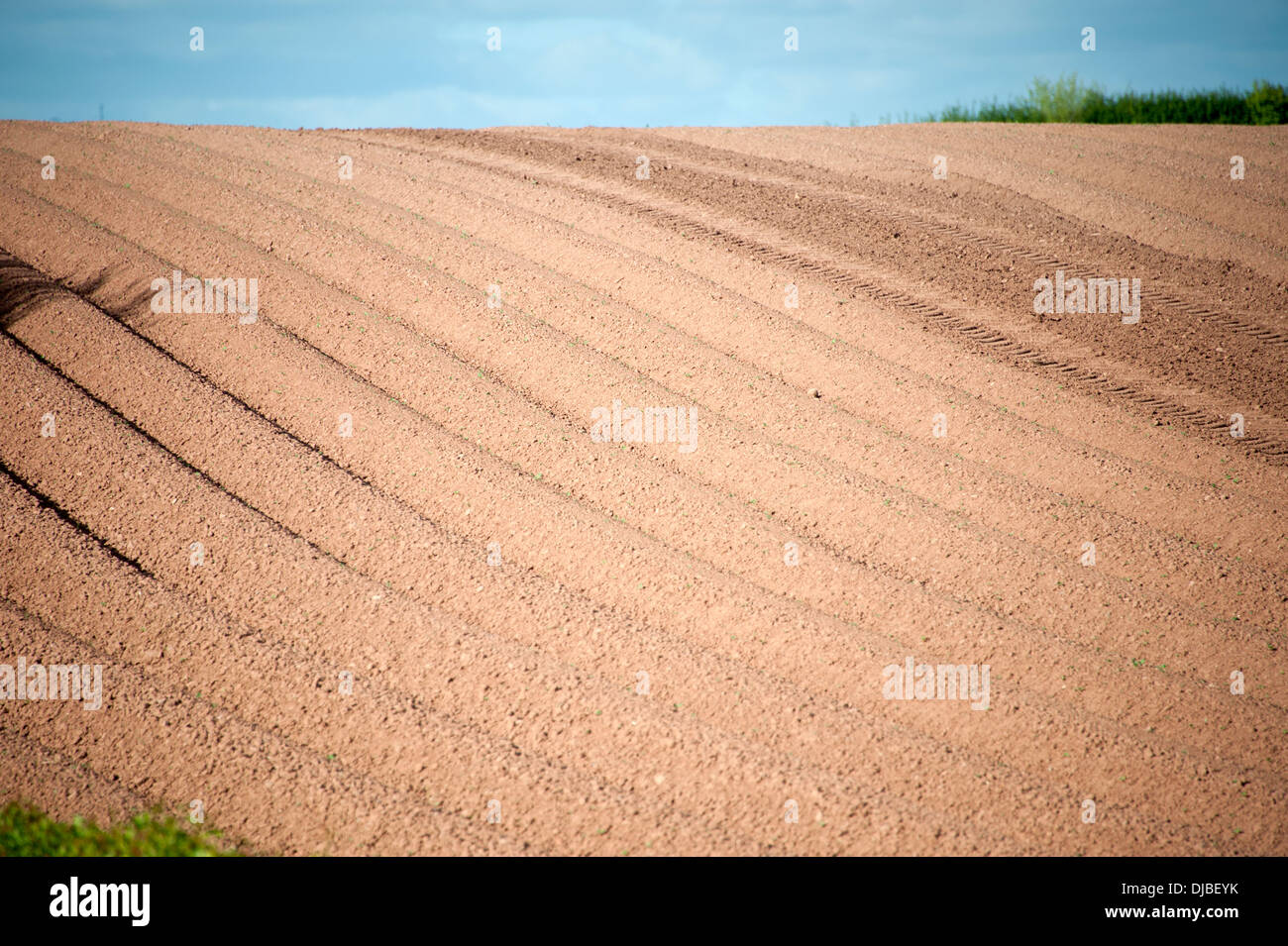 Frisch gepflügt Felder gute gesunde organische Böden Stockfoto