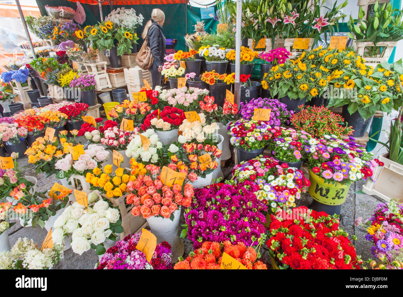 Deutschland, Bayern, München, Viktualienmarkt, Flower Shop Anzeige Stockfoto