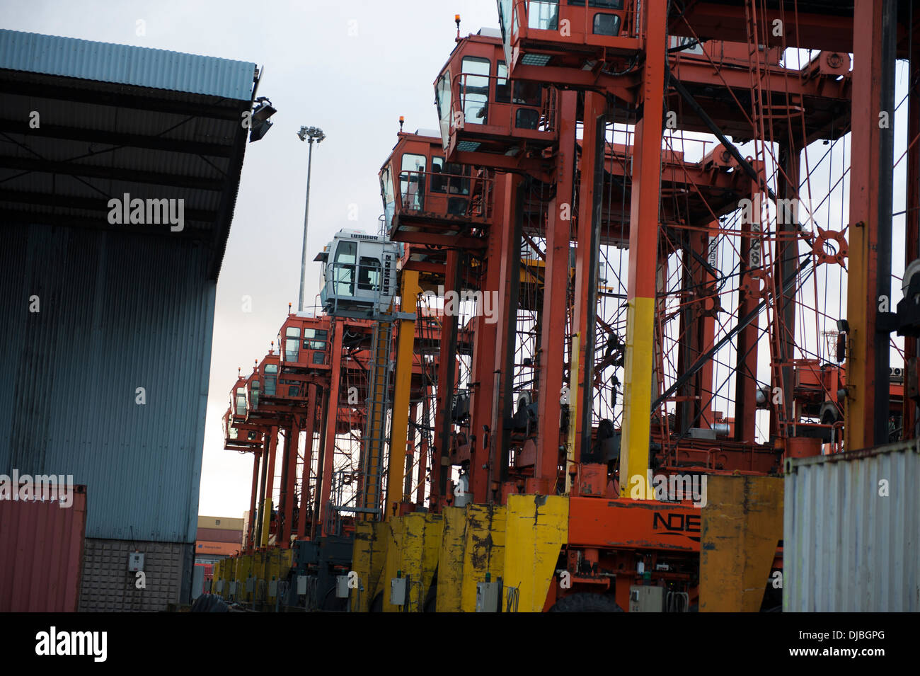 Zeile der Straddle Carrier Dock Containerhafen Handling Stockfoto