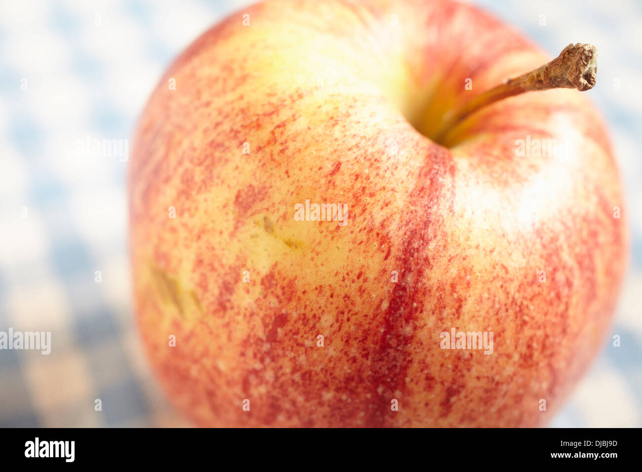 Bio Gala Apfel Stockfoto