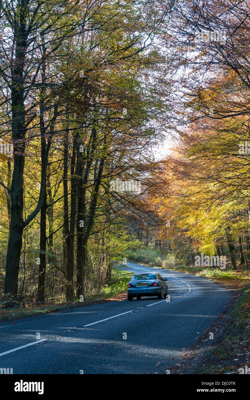 Auto auf der Landstraße im Herbst im Tidenham Chase, Wald des Dekans, Gloucestershire England UK Stockfoto