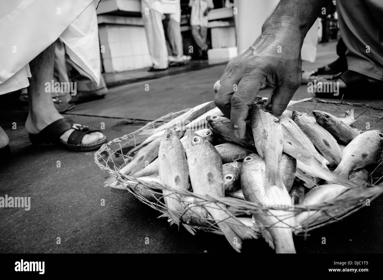 Ein Draht-Container auf dem Boden zeigt frischen Fisch zum Verkauf außerhalb Deiras Fish Market. Dubai, Vereinigte Arabische Emirate. Stockfoto