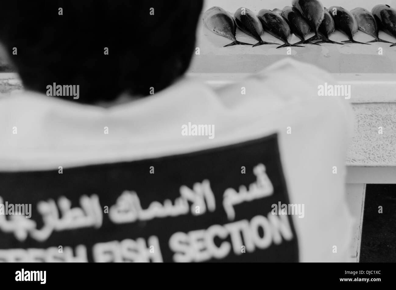Fischschwänze auf dem Display an Deiras Fish Market. Dubai, Vereinigte Arabische Emirate. Stockfoto