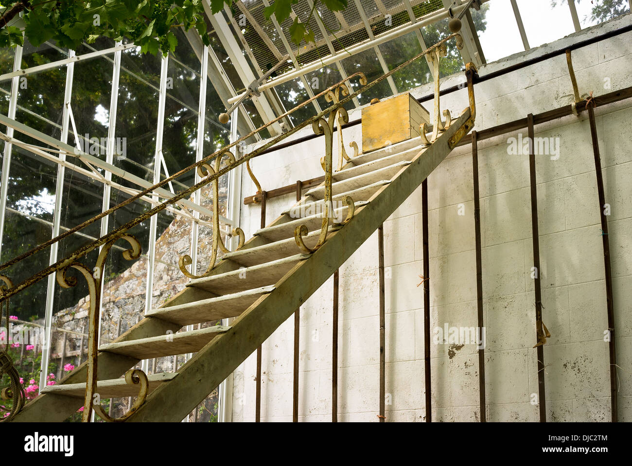 Alte Treppe erreichen oberen Teil des alten viktorianischen Glashaus auf Sark Stockfoto