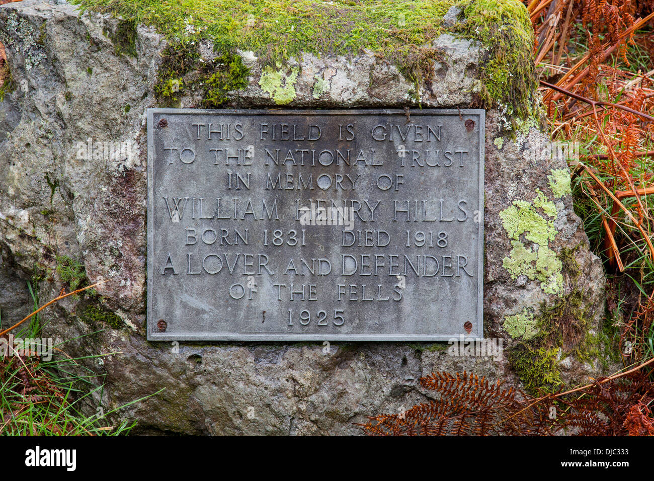 eine Gedenktafel in einem Feld in der Nähe von White Moss üblich, in der Nähe von Grasmere, Lake District, Cumbria Stockfoto