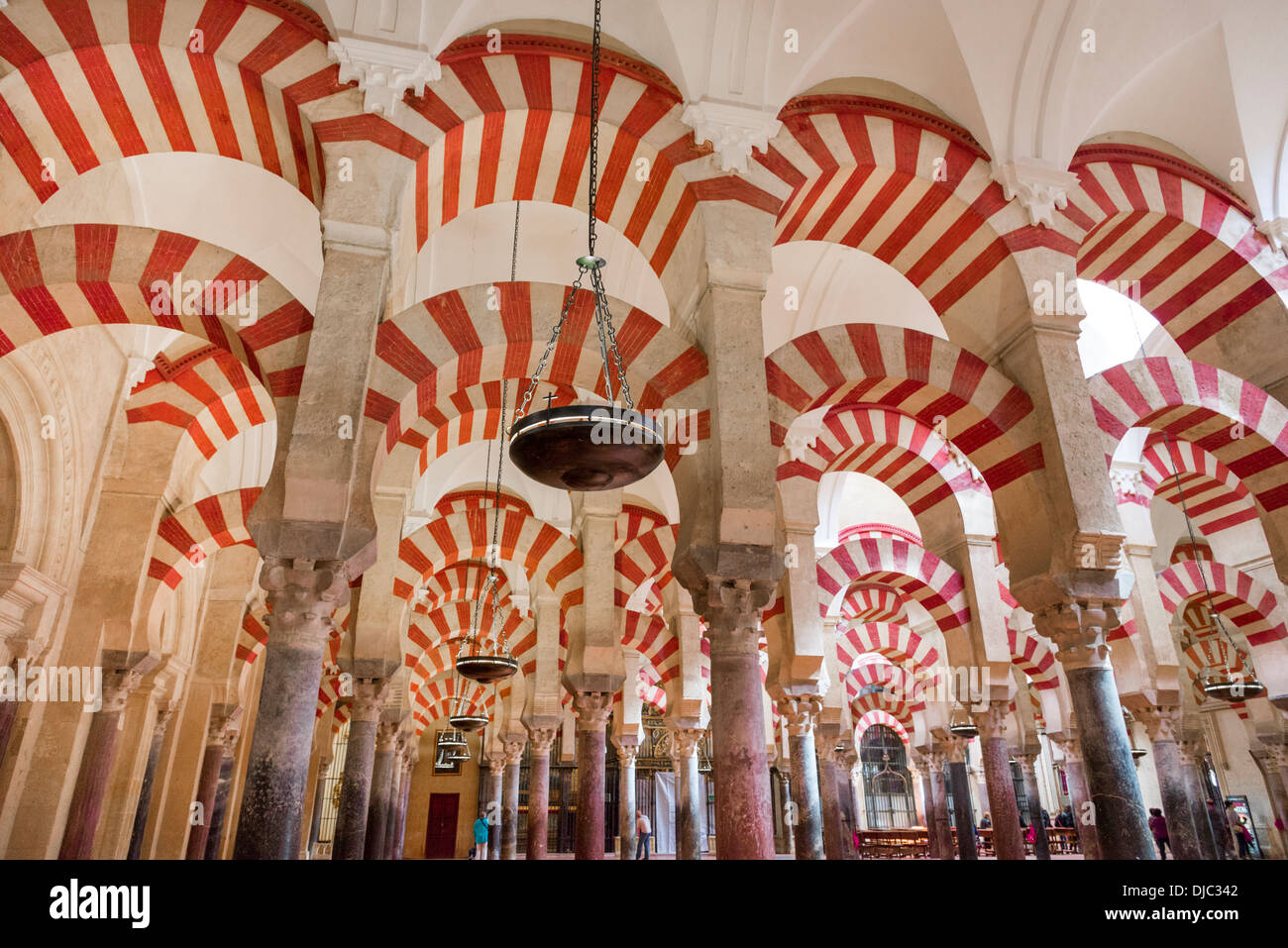 Maurische Spalten in der Moschee-Kathedrale von Córdoba, Andalusien, Spanien Stockfoto