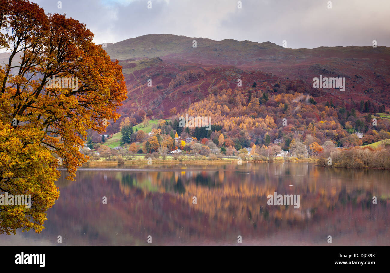 Herbstlicher Baum neben Grasmere mit Herrn Crag spiegelt sich in den See Lake District von Cumbria Stockfoto