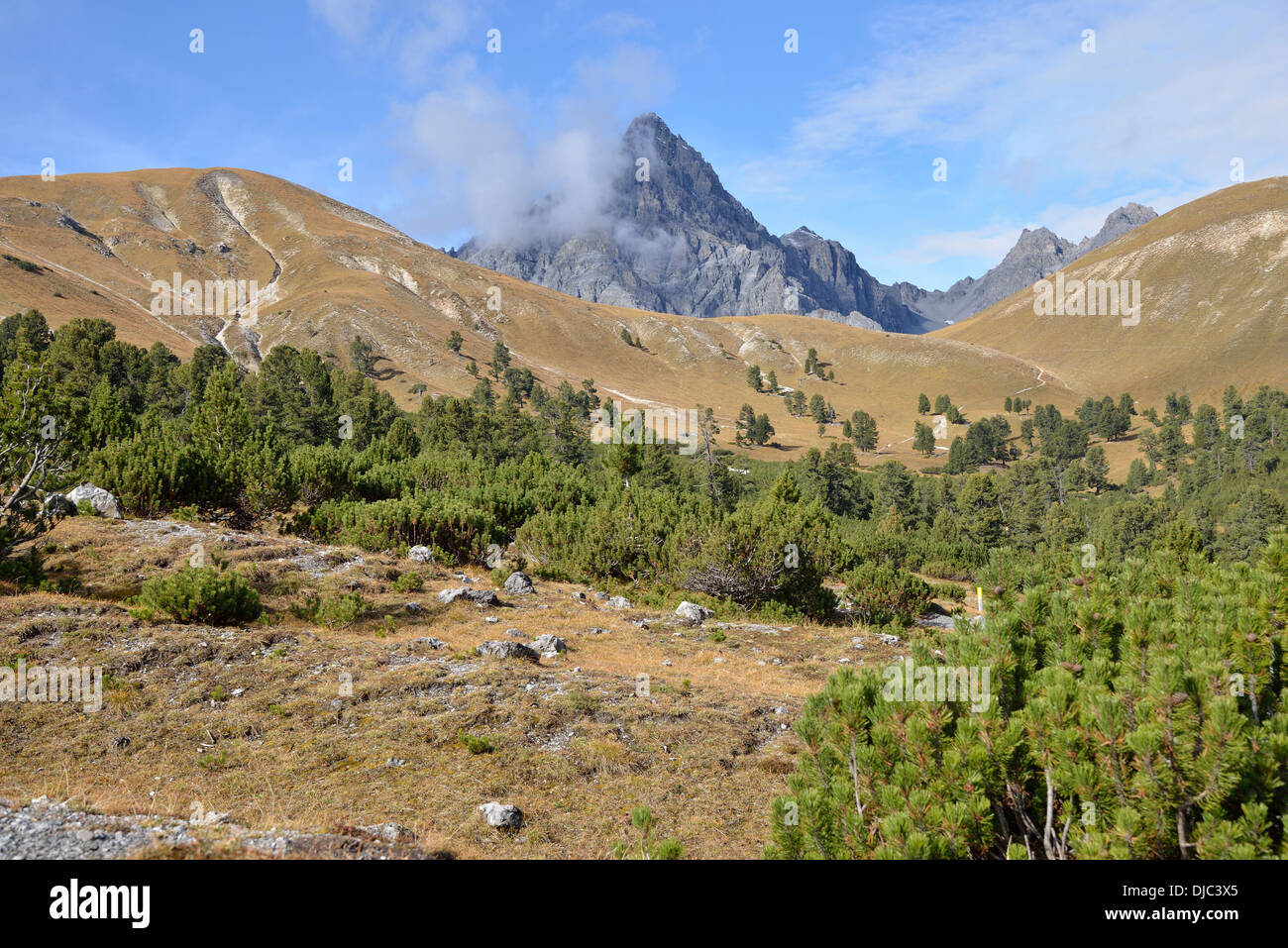 Oberen Val Minger, Schweizer Nationalpark, Unterengadin, Kanton Graubünden, Schweiz, Europa Stockfoto