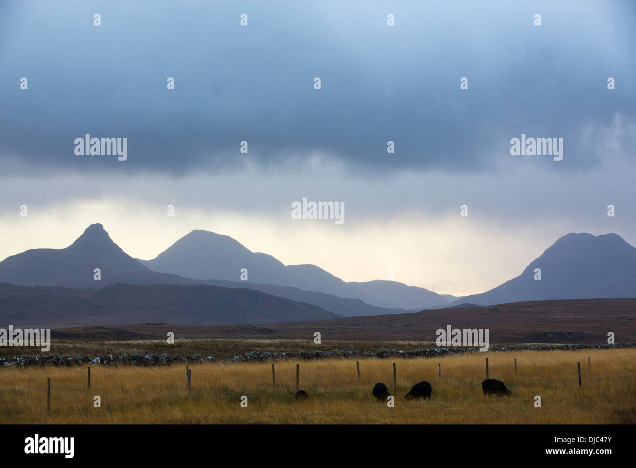Moorland unter Stac Pollaidh, Assynt, North West Highlands, Schottland. Stockfoto