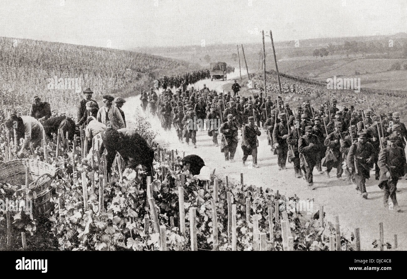 Den Spuren des Krieges inmitten der ruhigen Weinberge des nördlichen Frankreich während des ersten Weltkriegs. Stockfoto