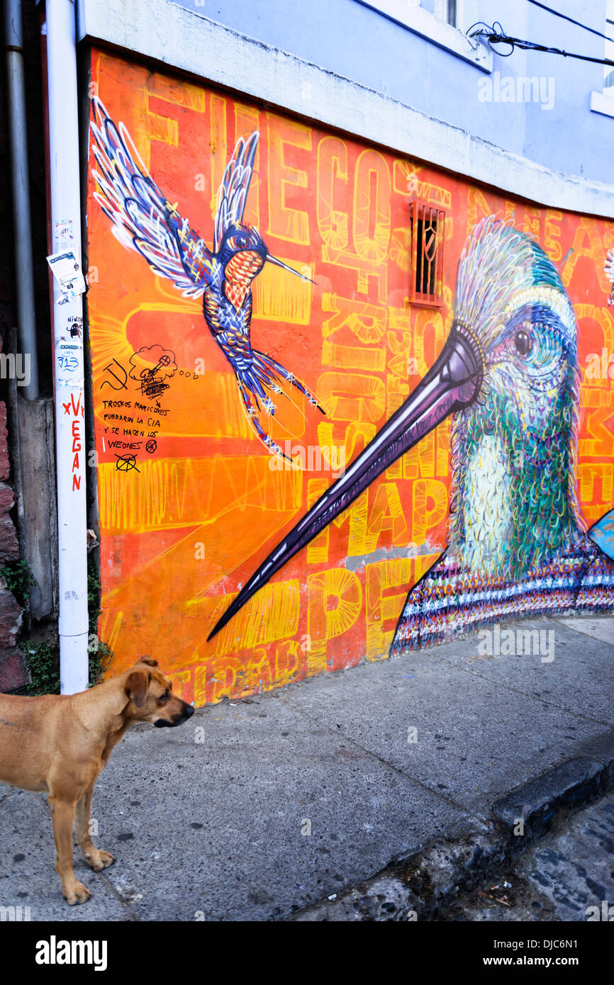 Street Art Künstlers Charquiepunk in Valparaiso, Chile. Stockfoto