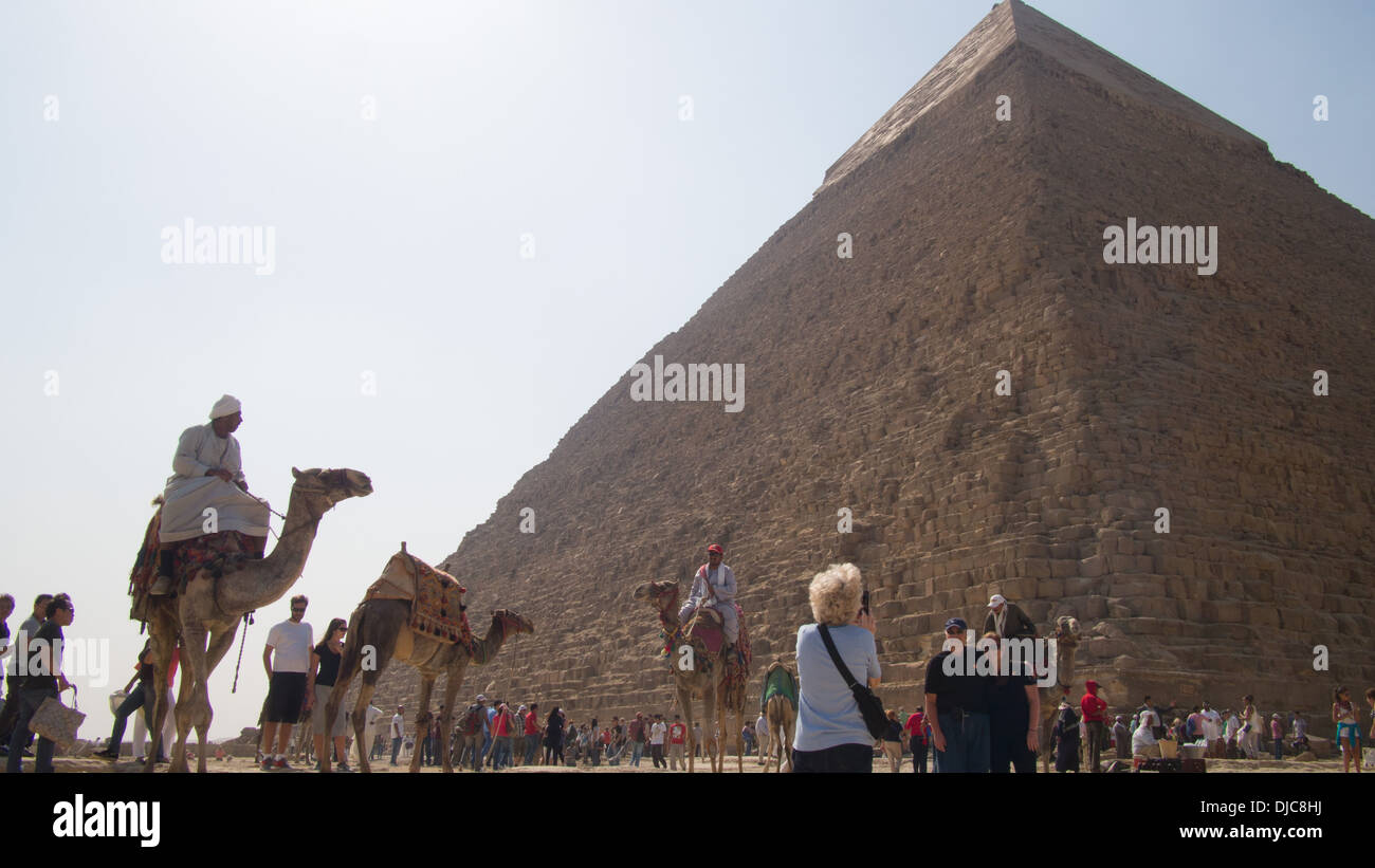 Kamele vor der Pyramide des Khaefre (oder Chephren), Giza. Ägypten. Stockfoto