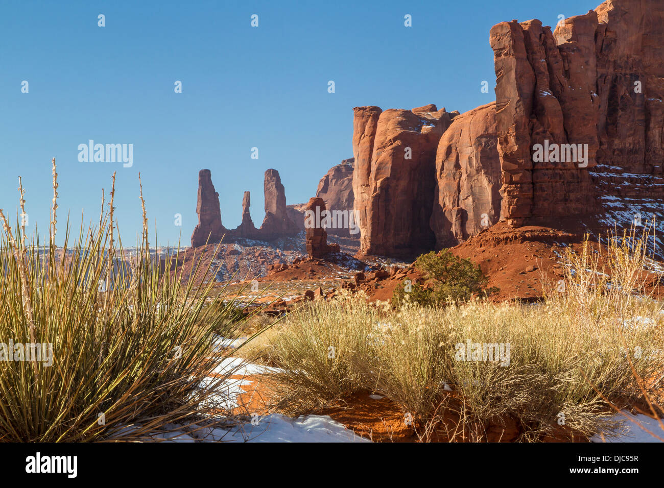 Roten Felsen Buttes und winterhart Wüstenpflanzen an einem Winternachmittag im Monument Valley Tribal Park Stockfoto