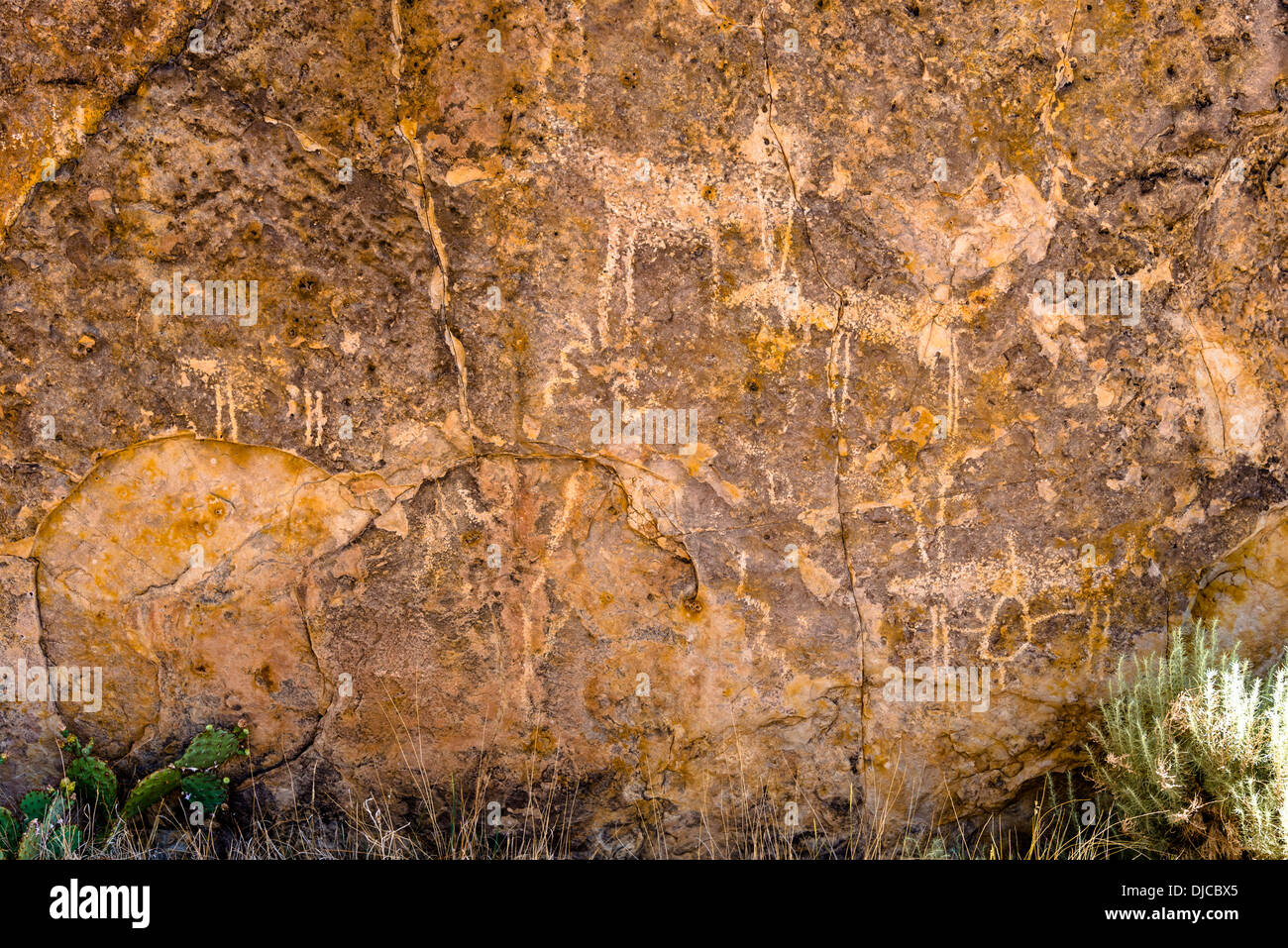 Petroglyphen, Purgatoire Fluss Picketwire Canyonlands, Comanche National Grasslands südlich von La Junta, Colorado. Stockfoto