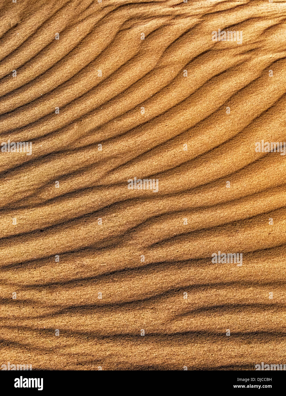 Ein Detail einer Sanddüne für den Einsatz in Grafik und digital design Stockfoto