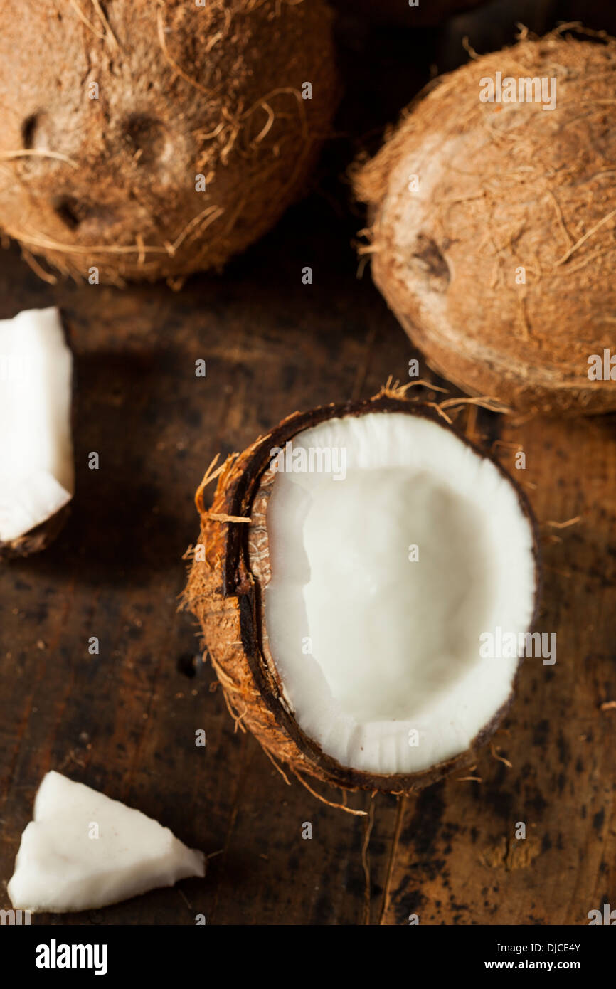 Frische Bio braune Kokosnuss mit weißem Fleisch Stockfoto