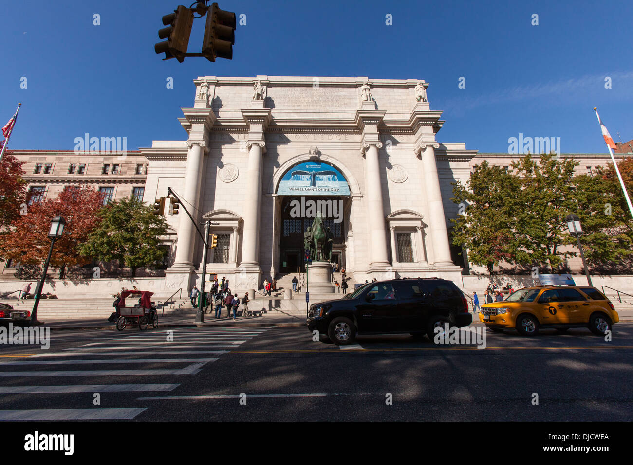 American Museum of Natural History, New York City, Vereinigte Staaten von Amerika. Stockfoto