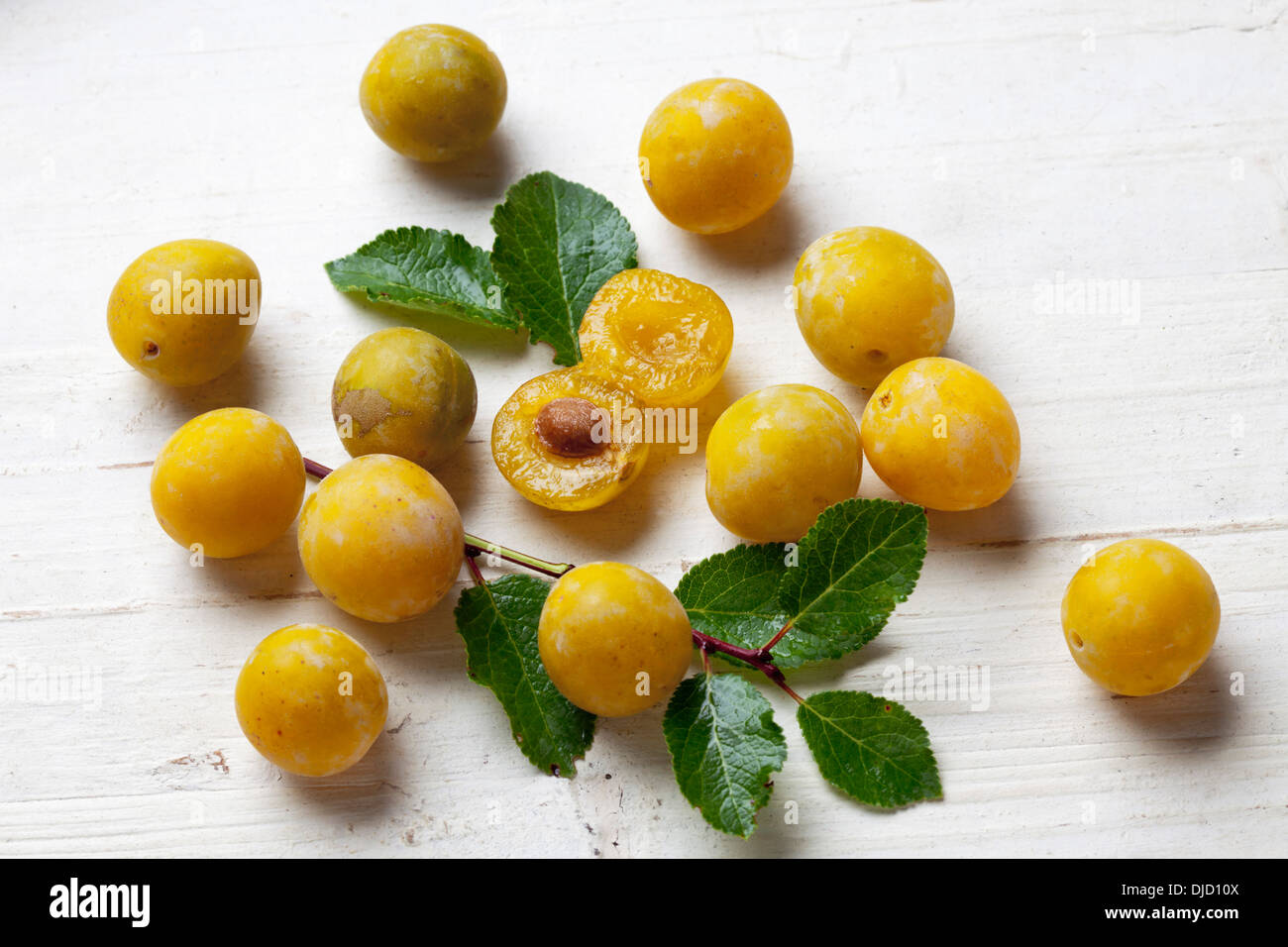 Mirabellen (Prunus Domestica Subspecies Syriaca) auf Holztisch, Studio gedreht Stockfoto