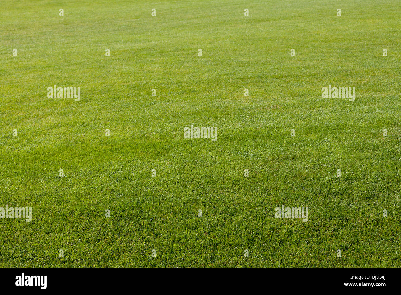 Deutschland, Bayern, Golfplatz in der Nähe von Dorfen Stockfoto