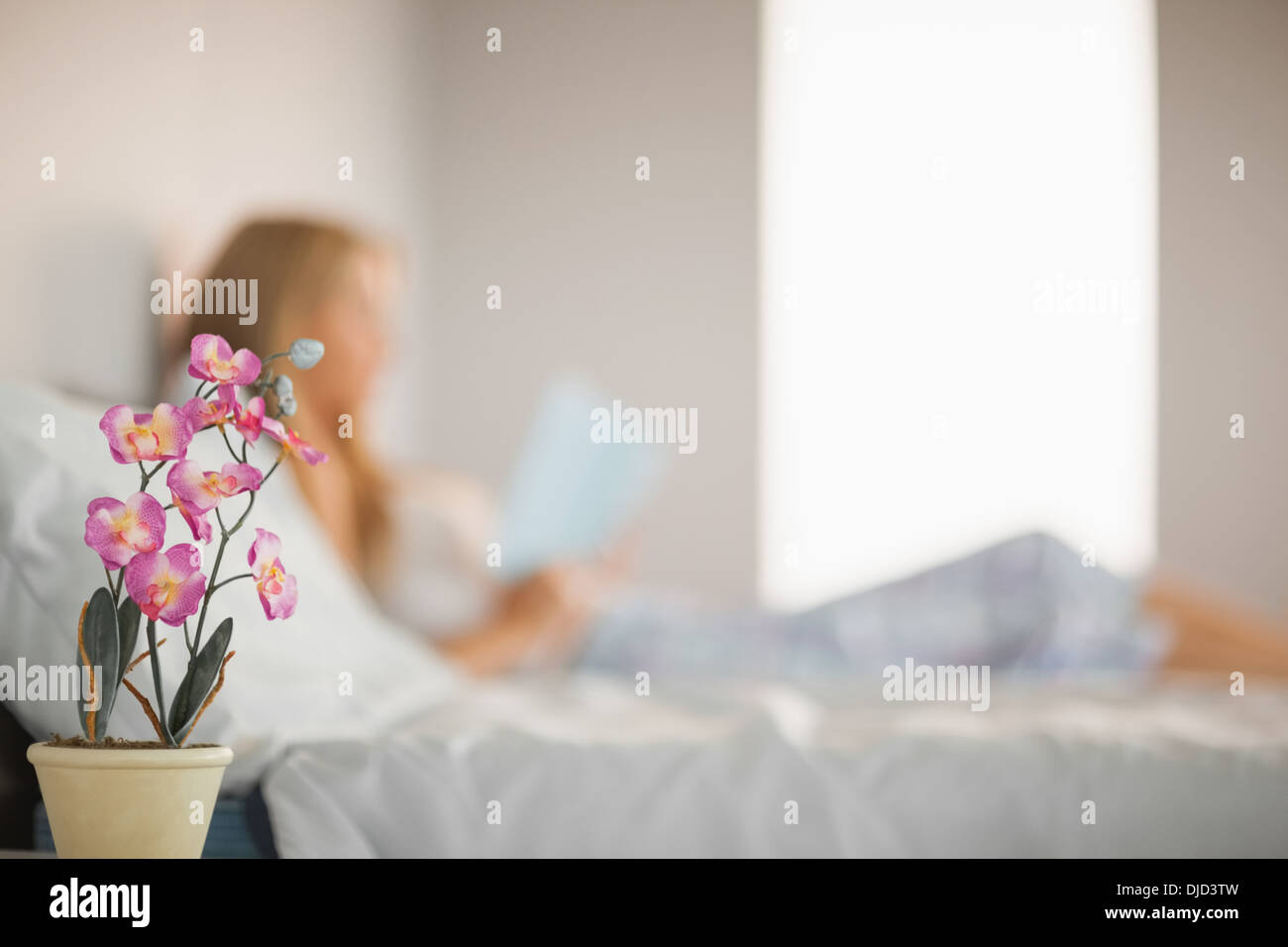 Rosa Blume auf Nachttisch im Fokus Stockfoto