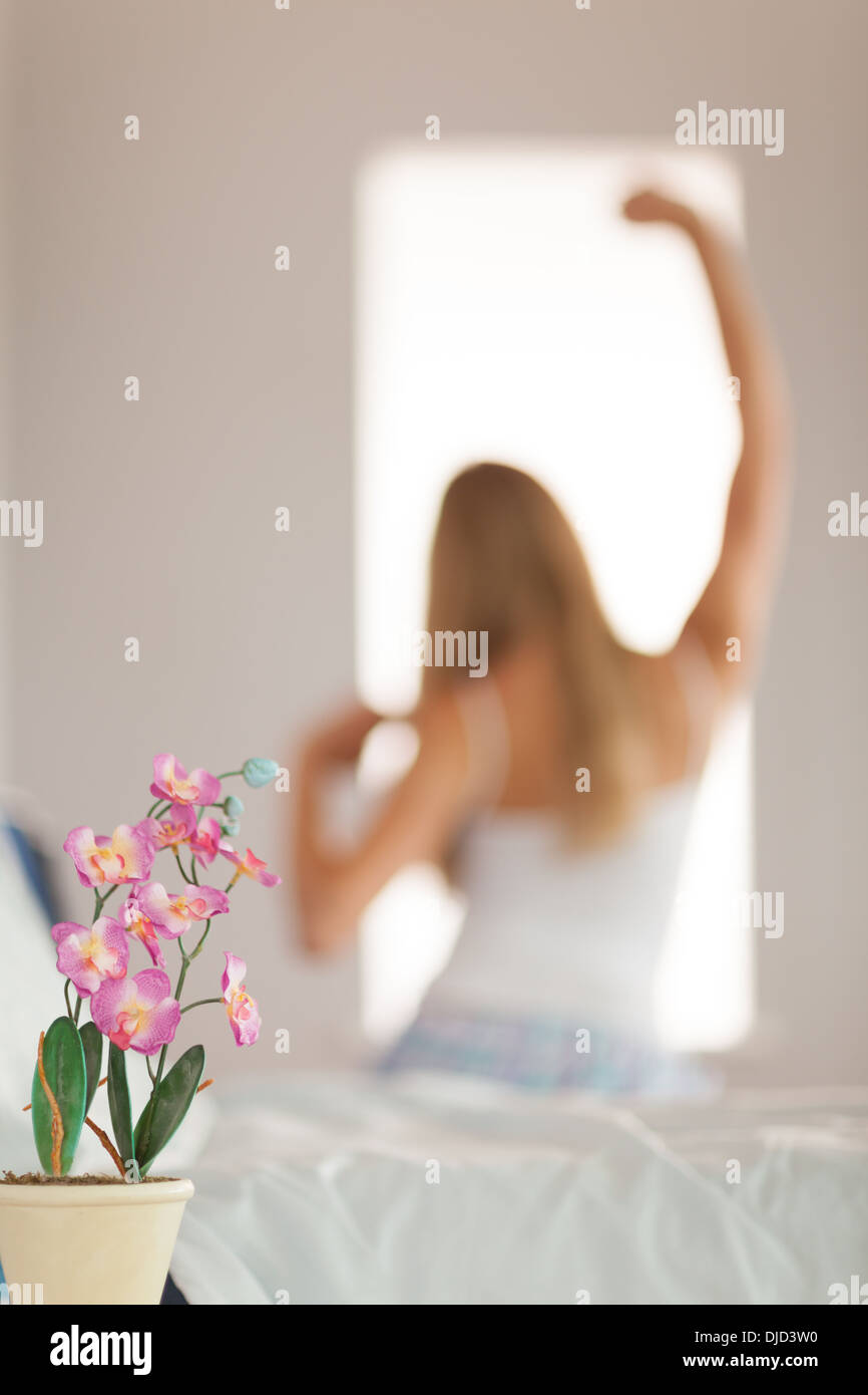 Zarte rosa Blume auf Nachttisch im Fokus Stockfoto