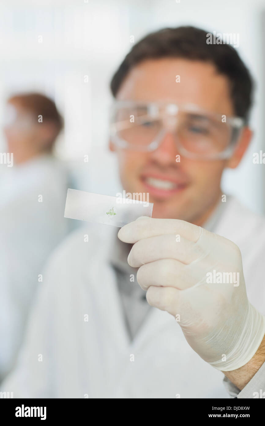 Lächelnde süße männliche Wissenschaftler Blick auf Objektträger Stockfoto