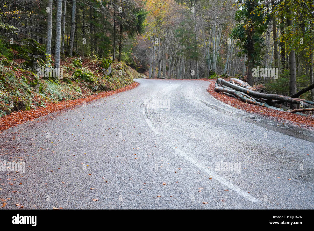 Straße in Vercors im Herbst, Grenoble, Frankreich Stockfoto