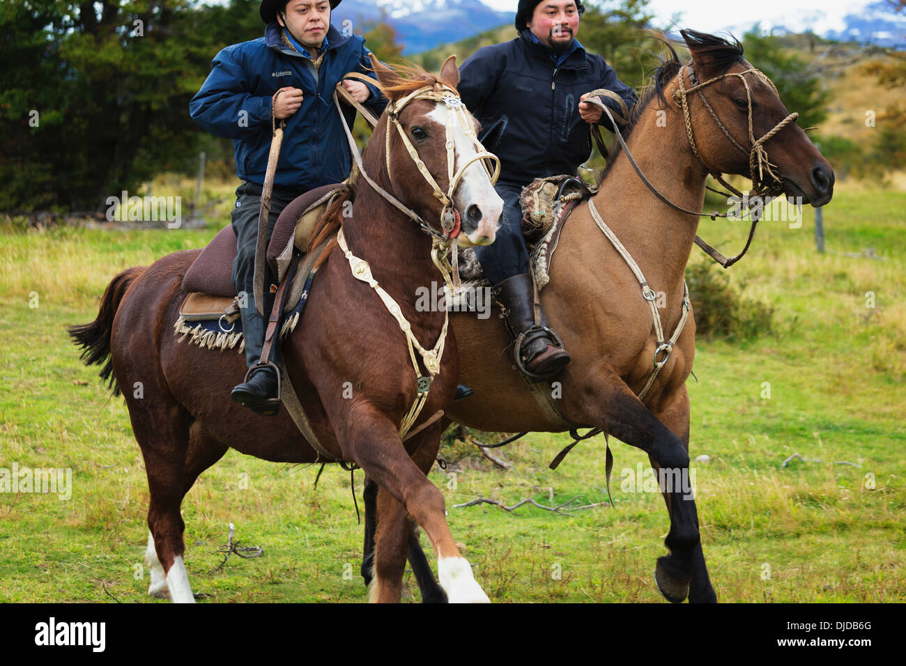 Blick auf zwei Gauchos auf ihren Pferden zugeschnitten. Patagonia.Chile Stockfoto