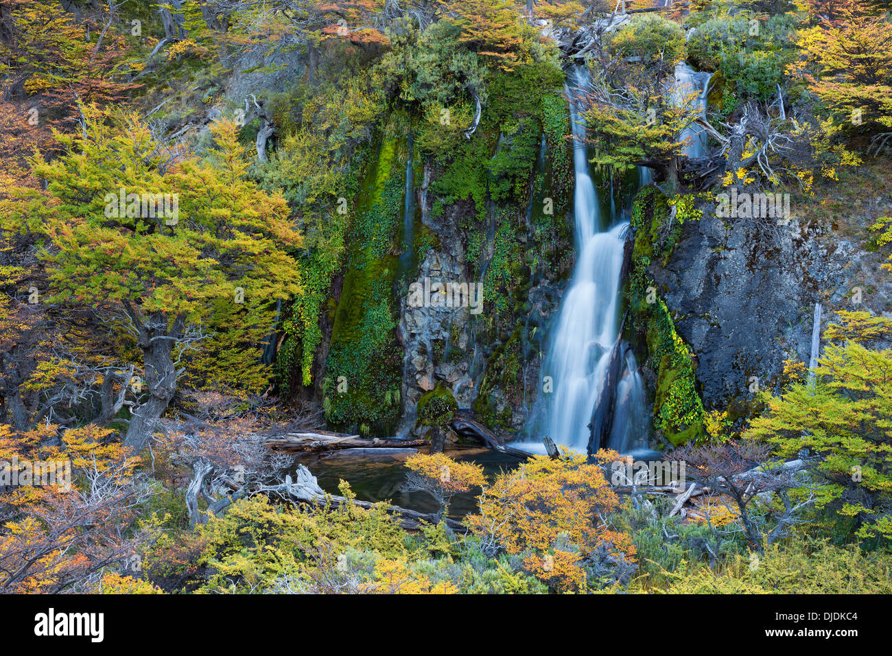 Malerischer Wasserfall. Patagonia.Argentina Stockfoto