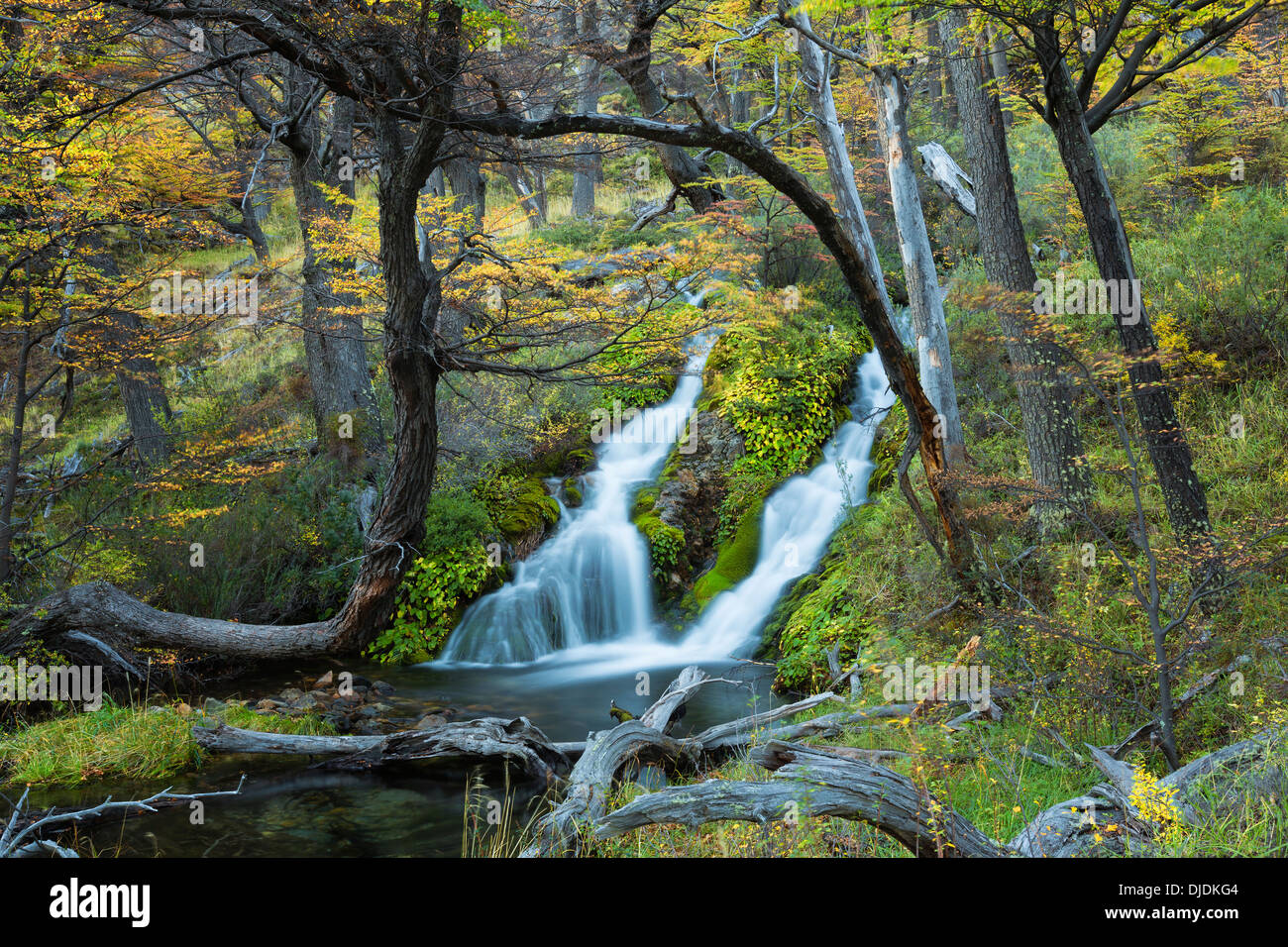 Malerischer Wasserfall. Patagonia.Argentina Stockfoto