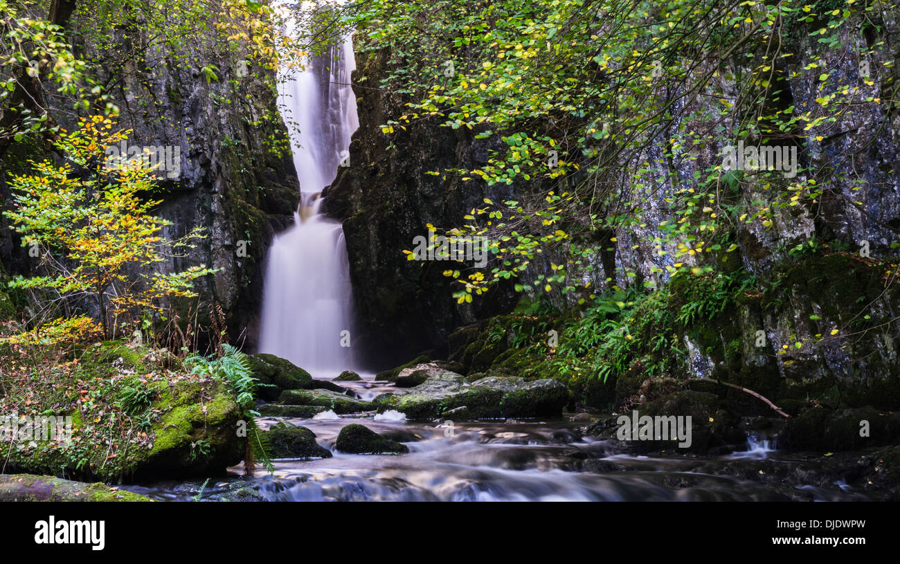 Catrigg Force Wasserfall in den Yorkshire Dales Stockfoto