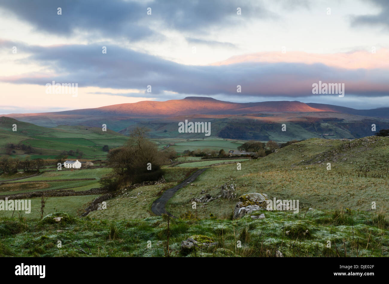 Ingleborough aus Winskill Stockfoto