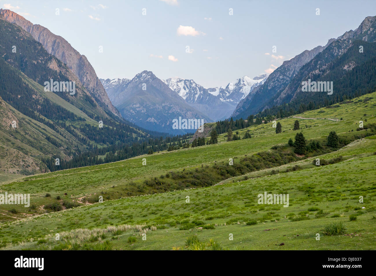 Berglandschaft. Tien Shan, Kirgisien Stockfoto