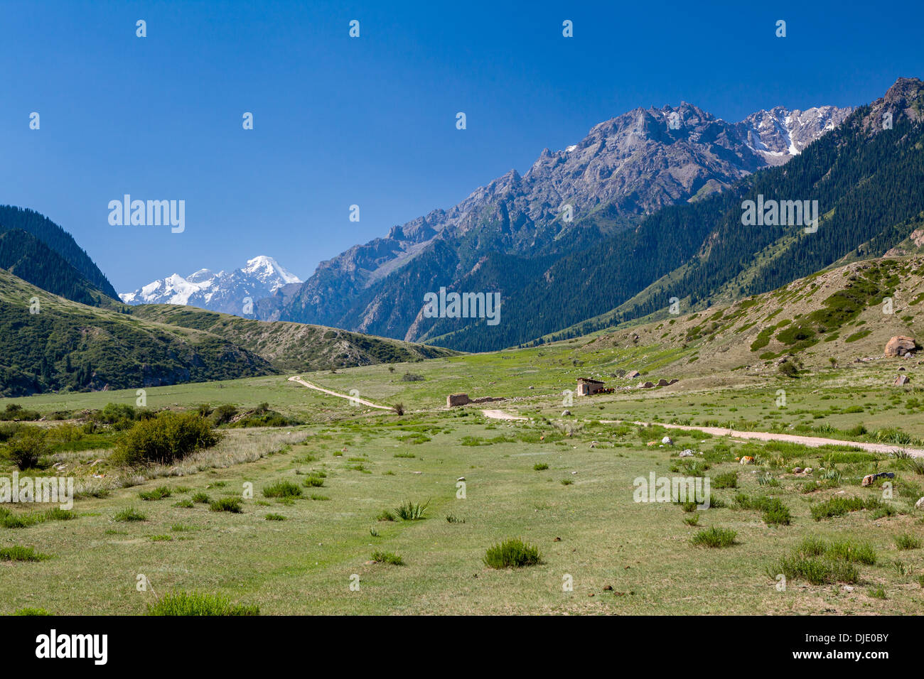 Kulturlandschaft im Tien-Shan-Gebirge Stockfoto