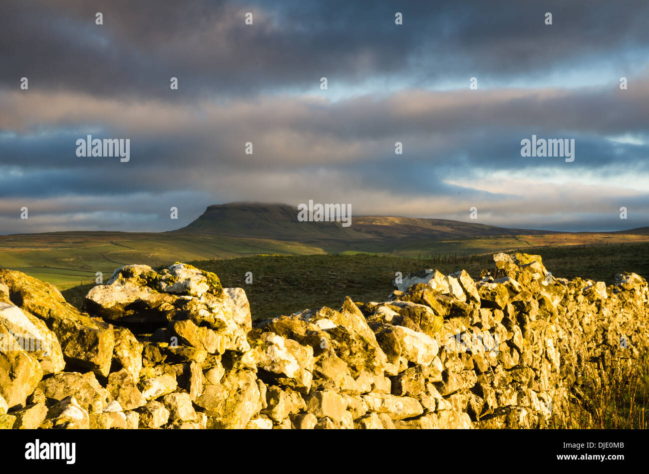 Pen-y-Gent über eine Trockensteinmauer Stockfoto
